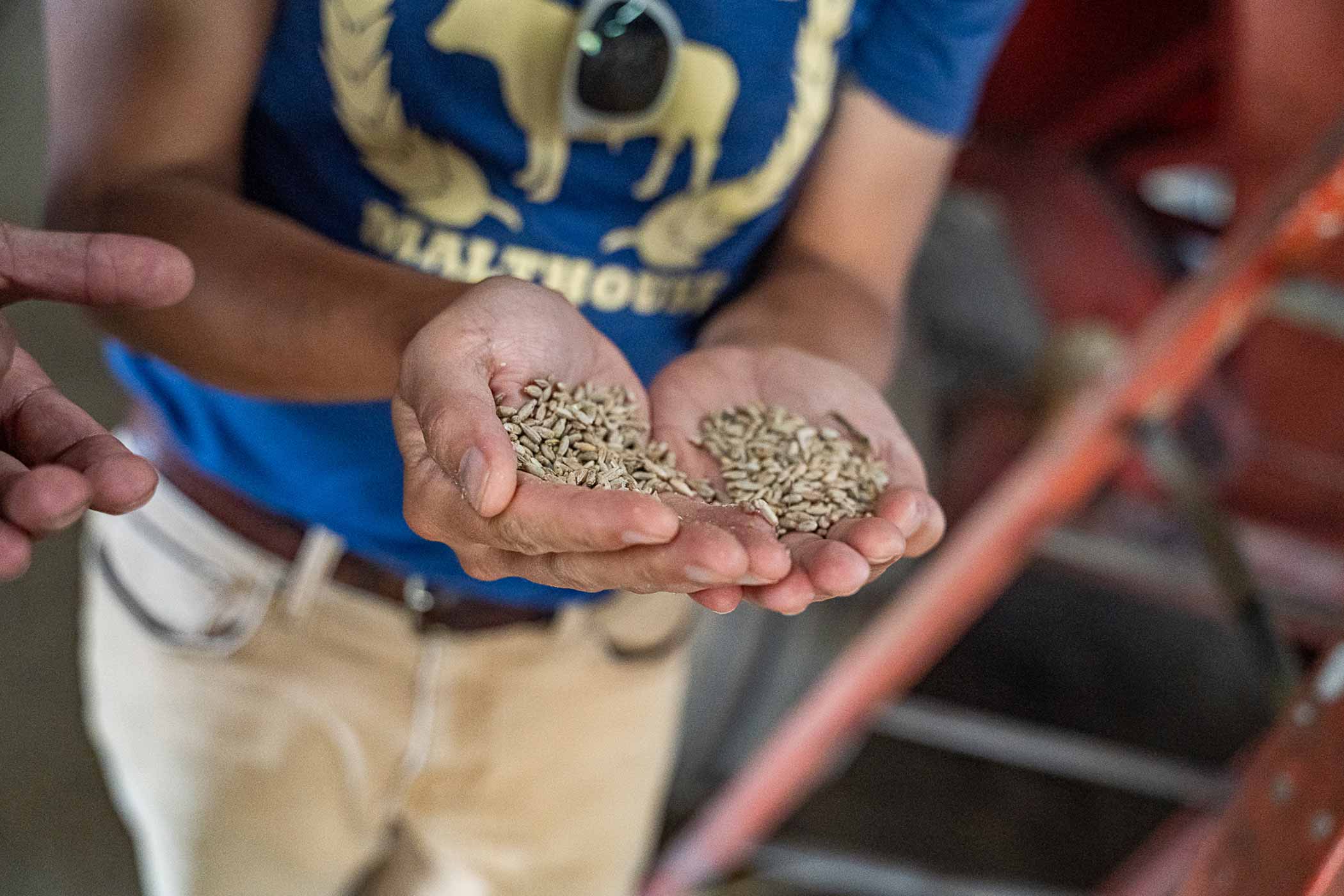 blue ox malthouse expansioin