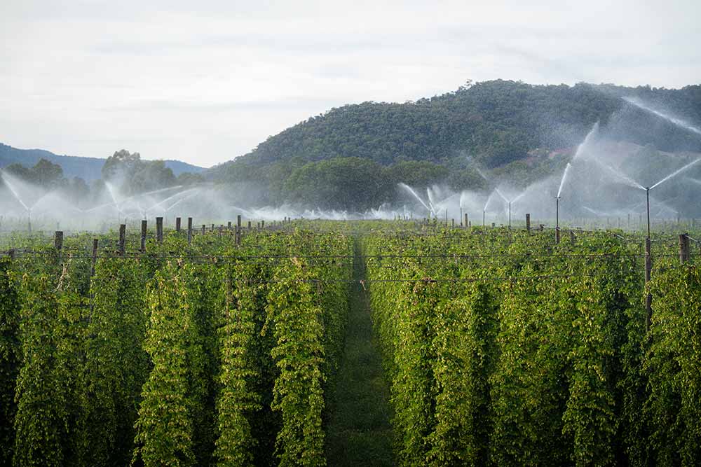 hpa rostervor gardens hop farm
