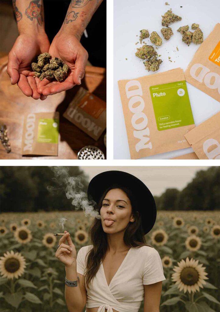 mood flower collage cannabis weed