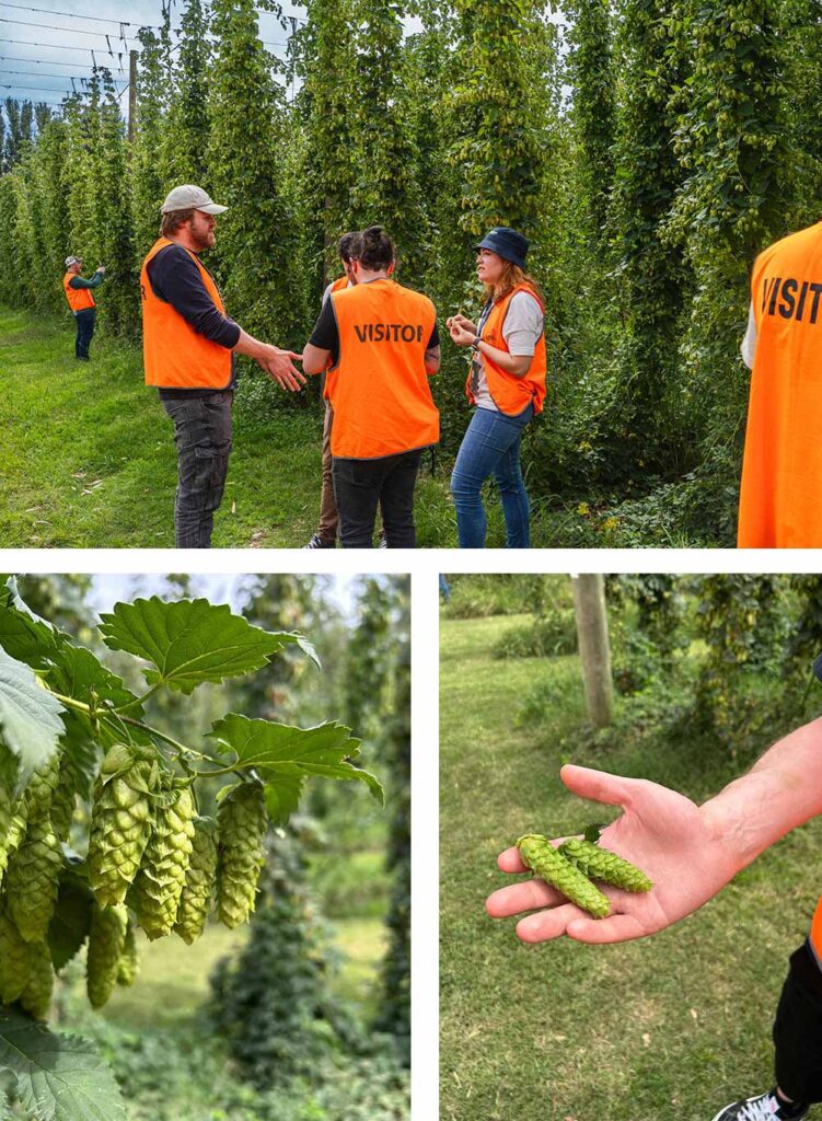 hpa rostrevor garden showcase australia