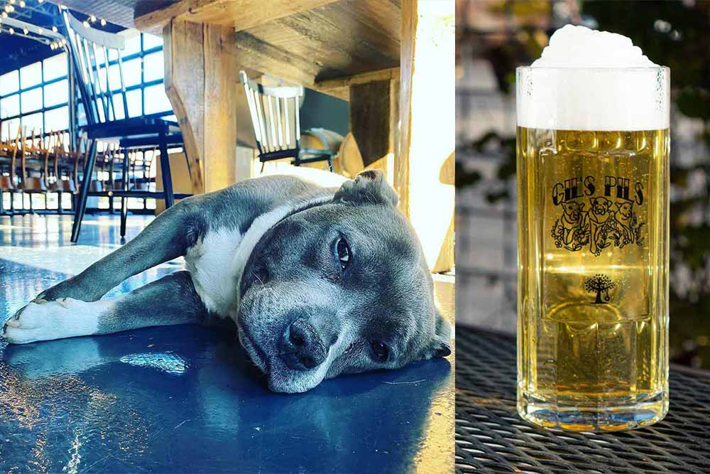 lua brewing gil's pils iowa