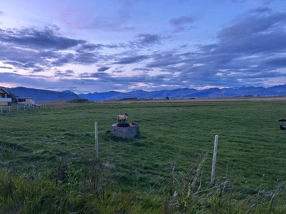 holmur guesthouse and farm iceland