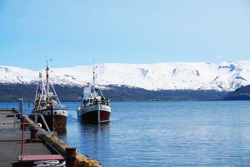 kaldi bruggsmidjan harbor iceland