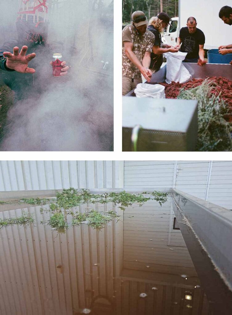labietis pagan brews dumenis berry ale, coolship, and foraging riga, latvia