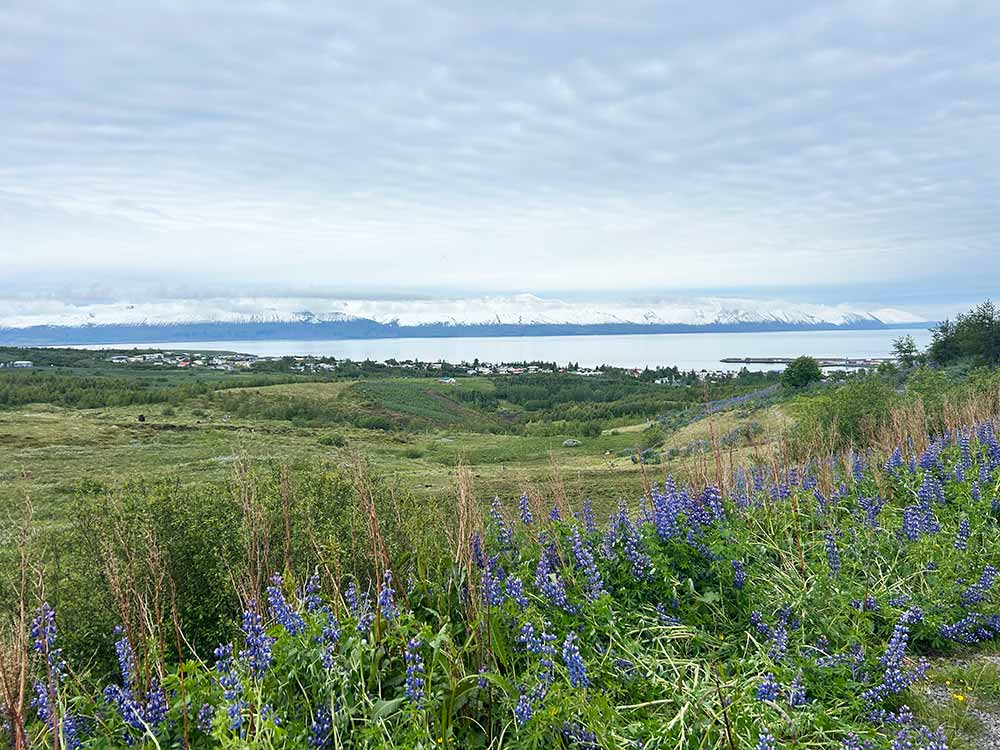botnsvatn lake husavik iceland