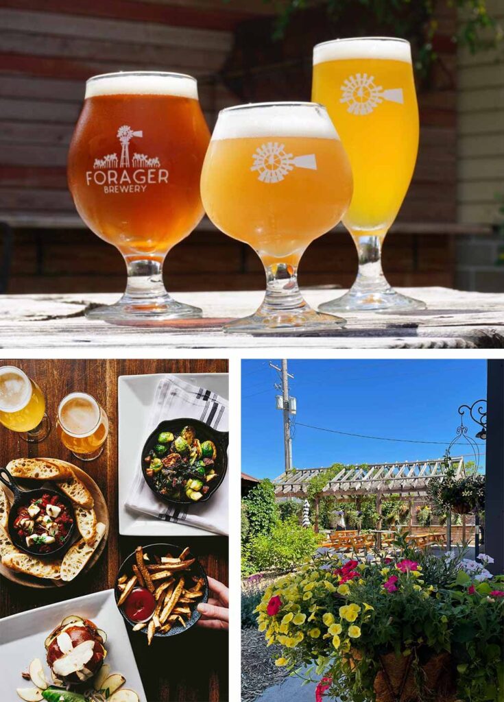 forager brewery