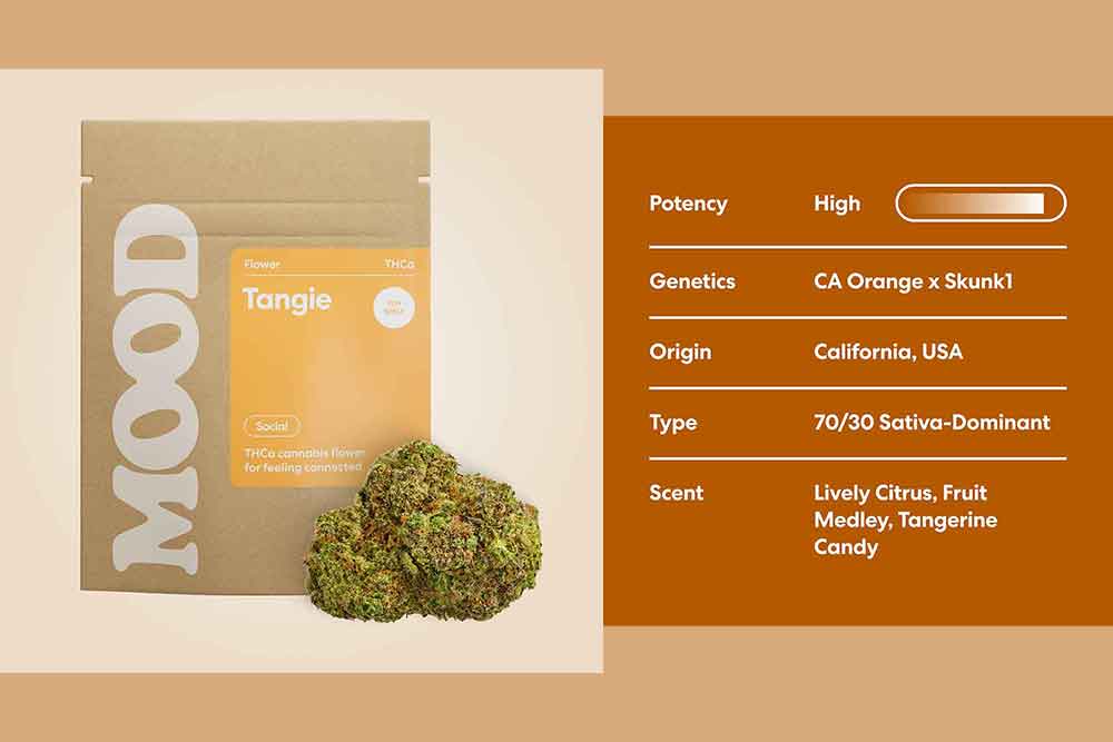mood tangie collage
