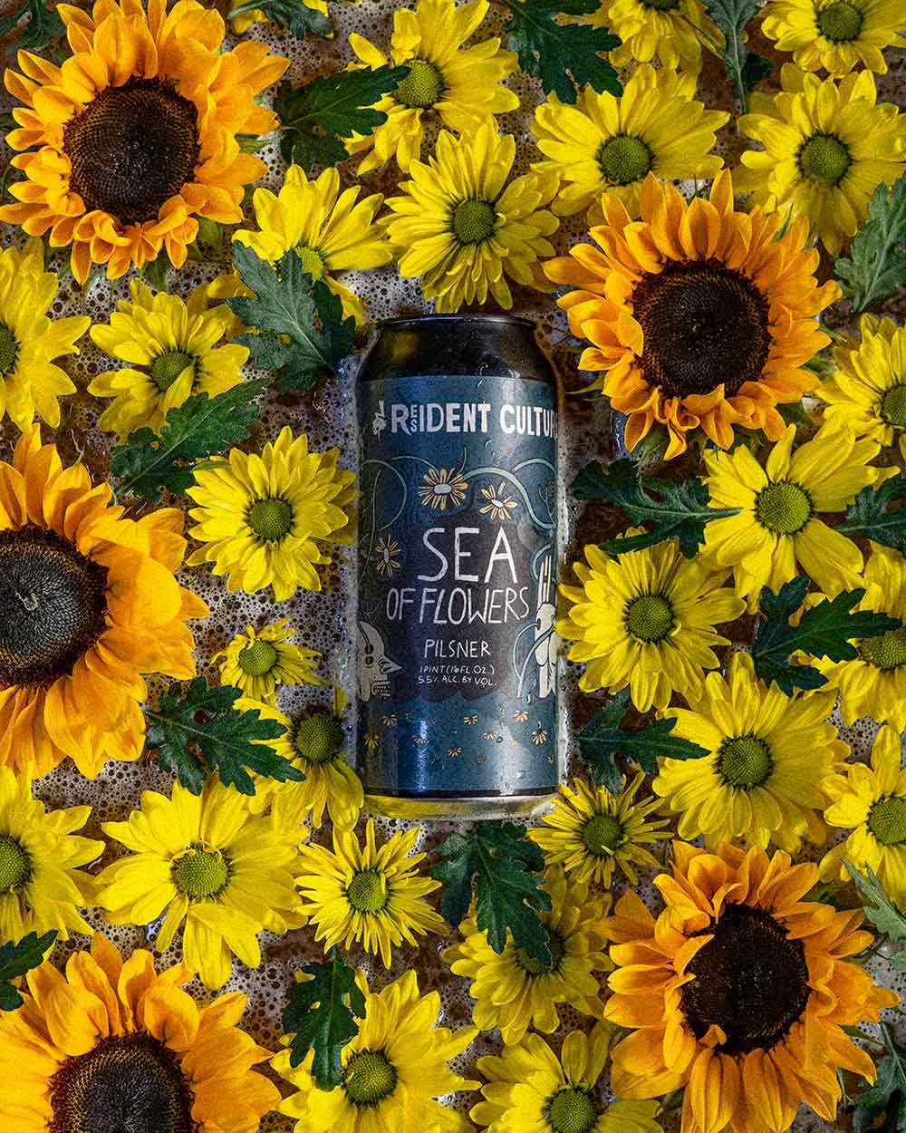 resident culture sea flowers pilsner