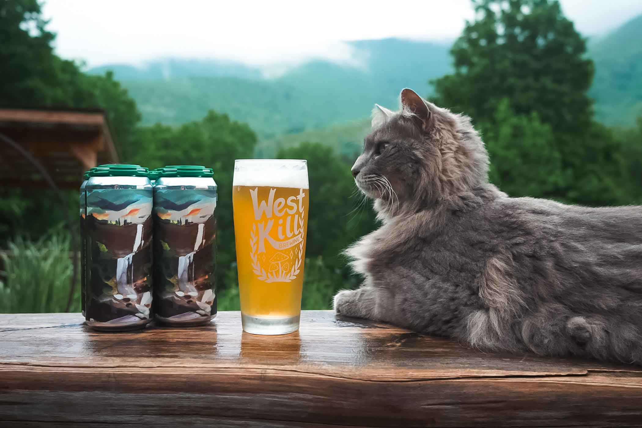 west kill brewing kaaterskill ipa