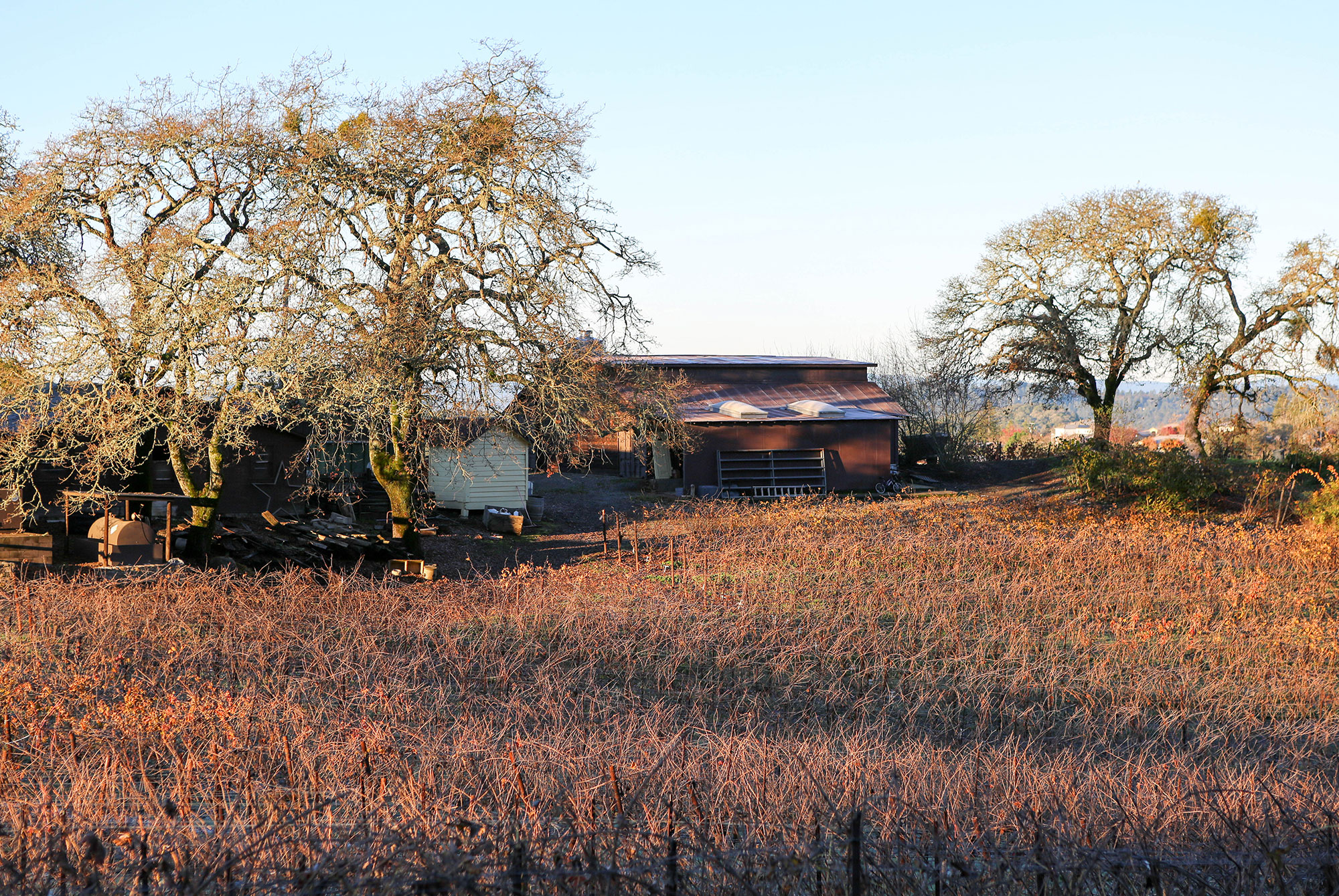 What is a Farmhouse Brewery?