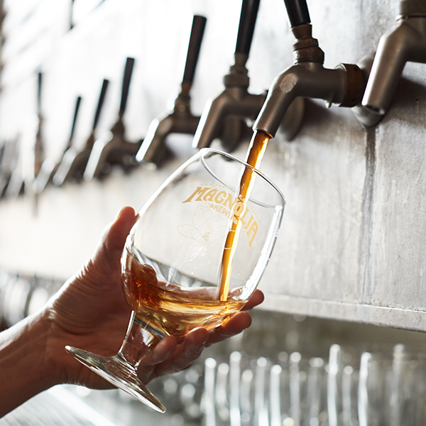 a pour at Magnolia Brewing, one of the best breweries in San Francisco