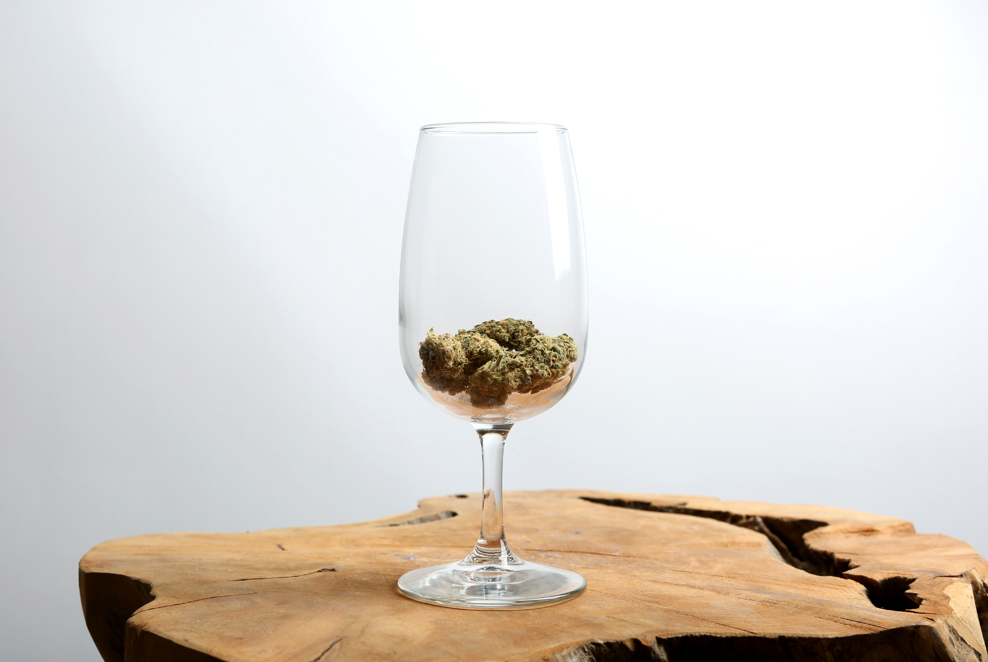 Cannabidiol Brews: An Ode to Hops’ Twin Sibling
