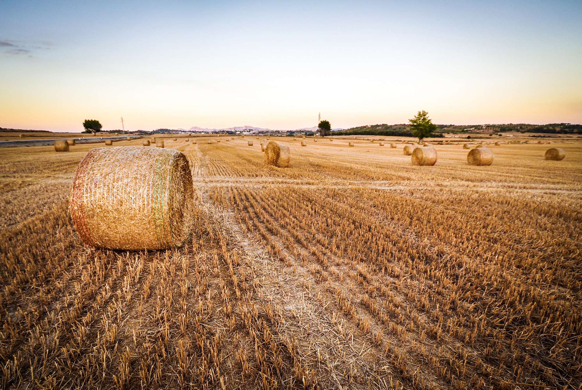 What is Midwestern Beer?