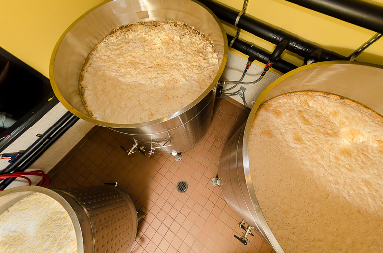 brewing at upright brewing, one of the best breweries in Portland, Oregon