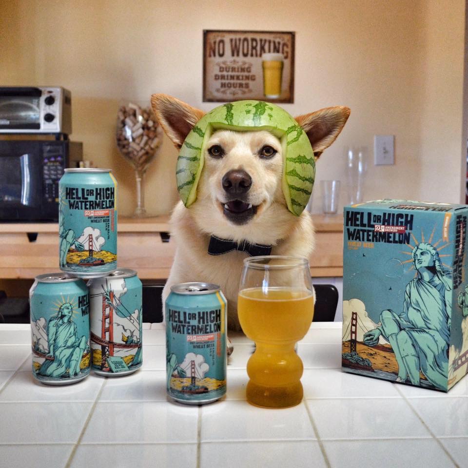 How to Take the Best Beer Pics With Your Pet