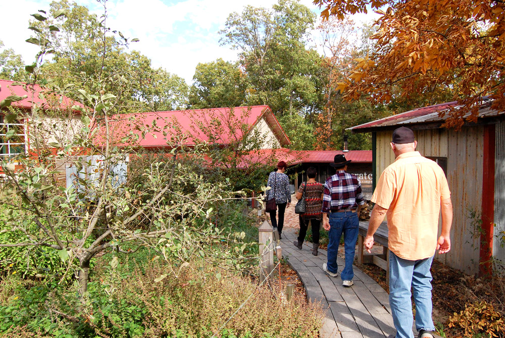 The Fermenting Ecosystem: Scratch Brewing in Ava, Illinois