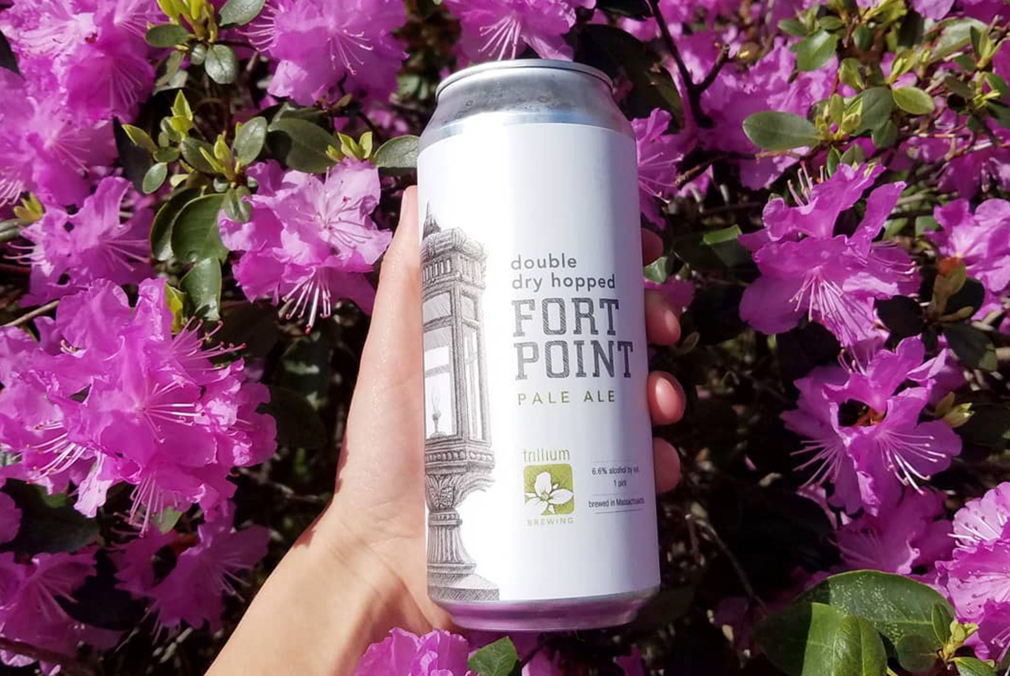 DDH Fort Point from Trillium, one of the best breweries in Boston