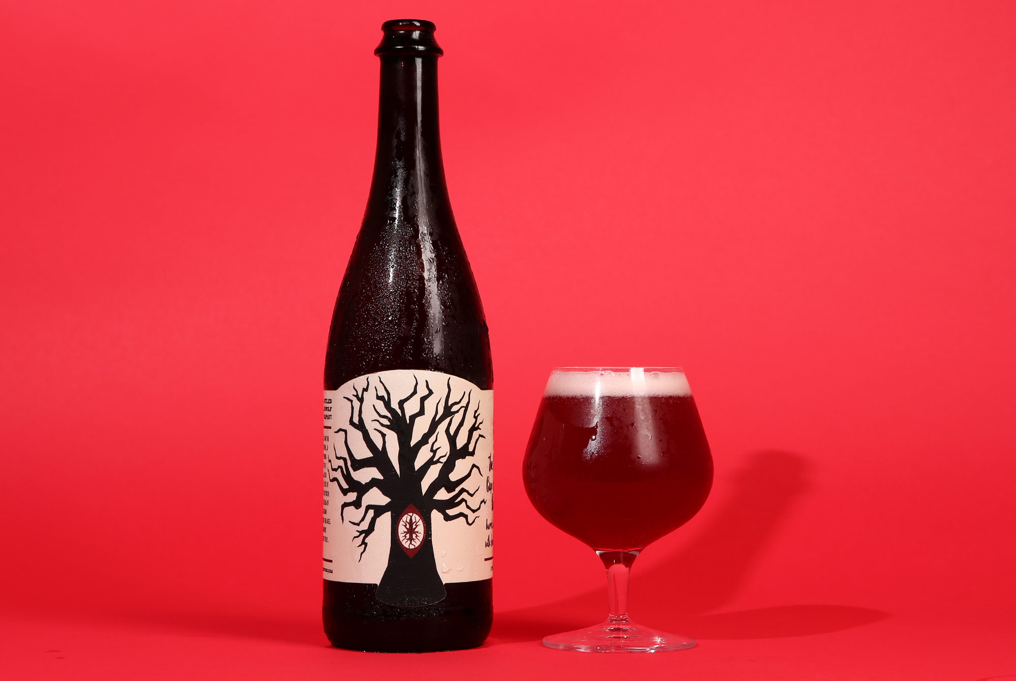 The 5 Best Beers We Drank This Week