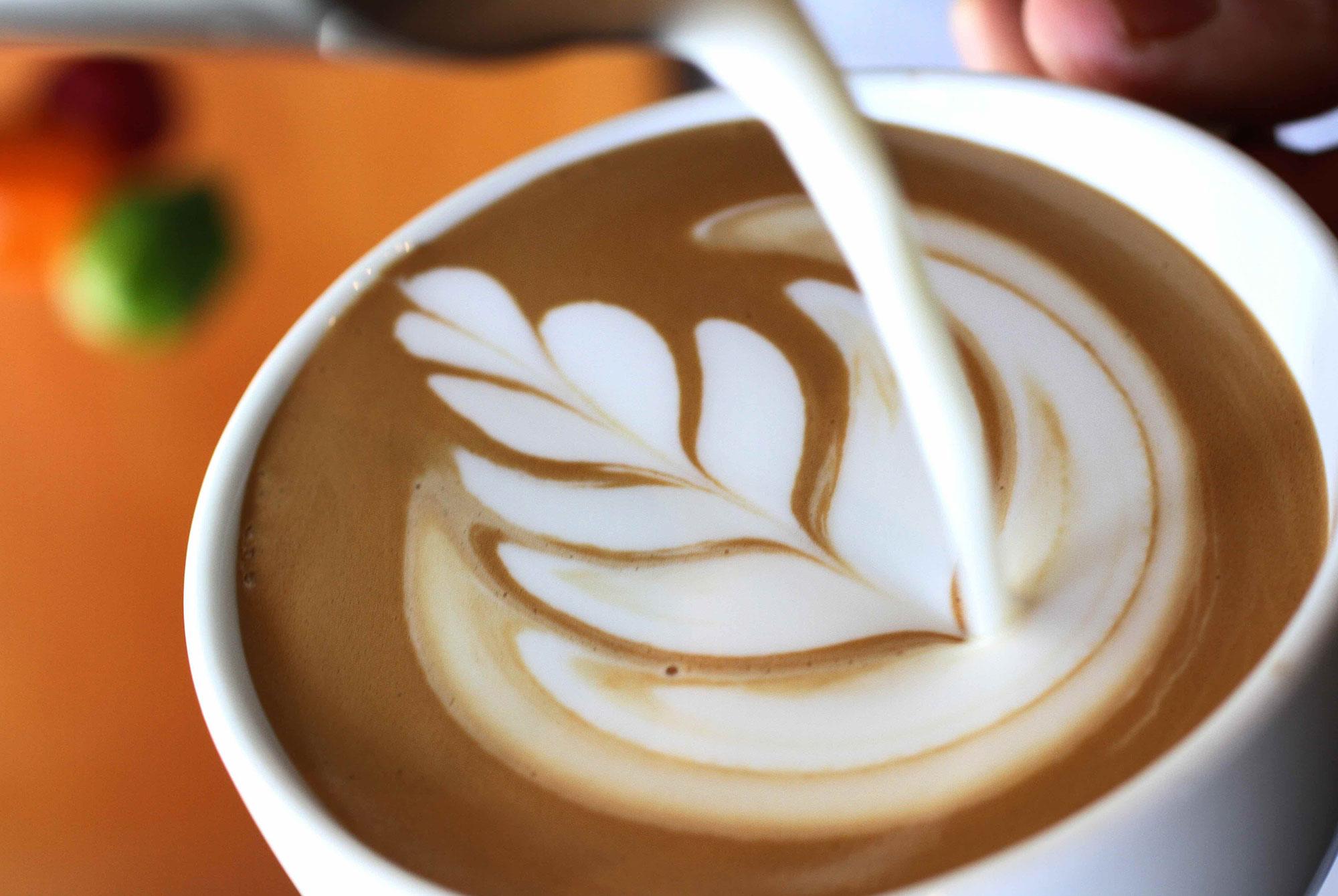 The Best Coffee in Charlotte, NC • Hop Culture