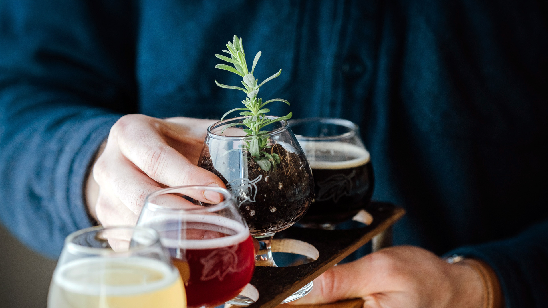 Sustainable Craft Breweries That Are Minimizing Their Footprint - Thrillist