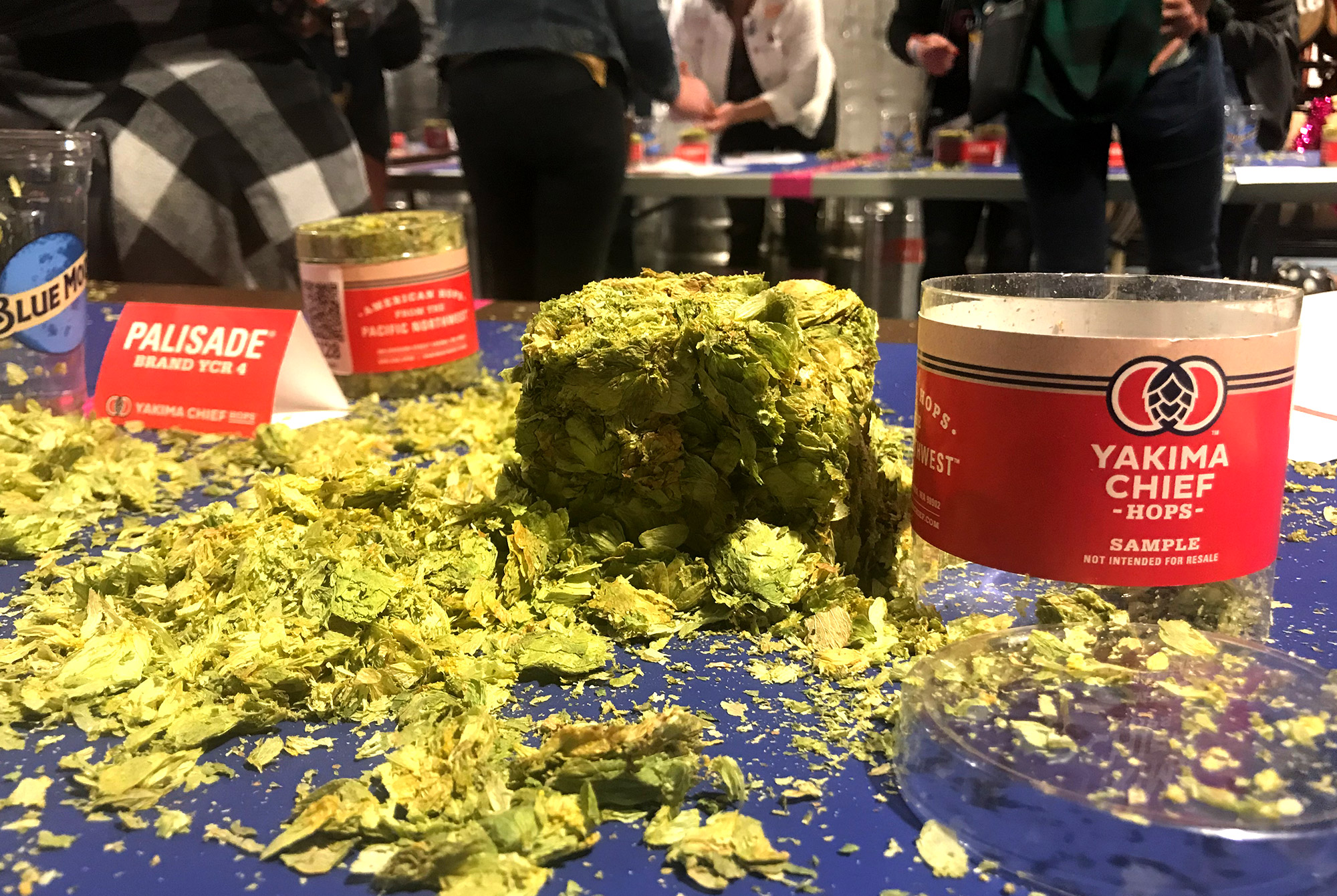 Green, Sticky, and Dank: Getting Hands On at the Yakima Chief Hops and Pink Boots Society Annual Hop Rub