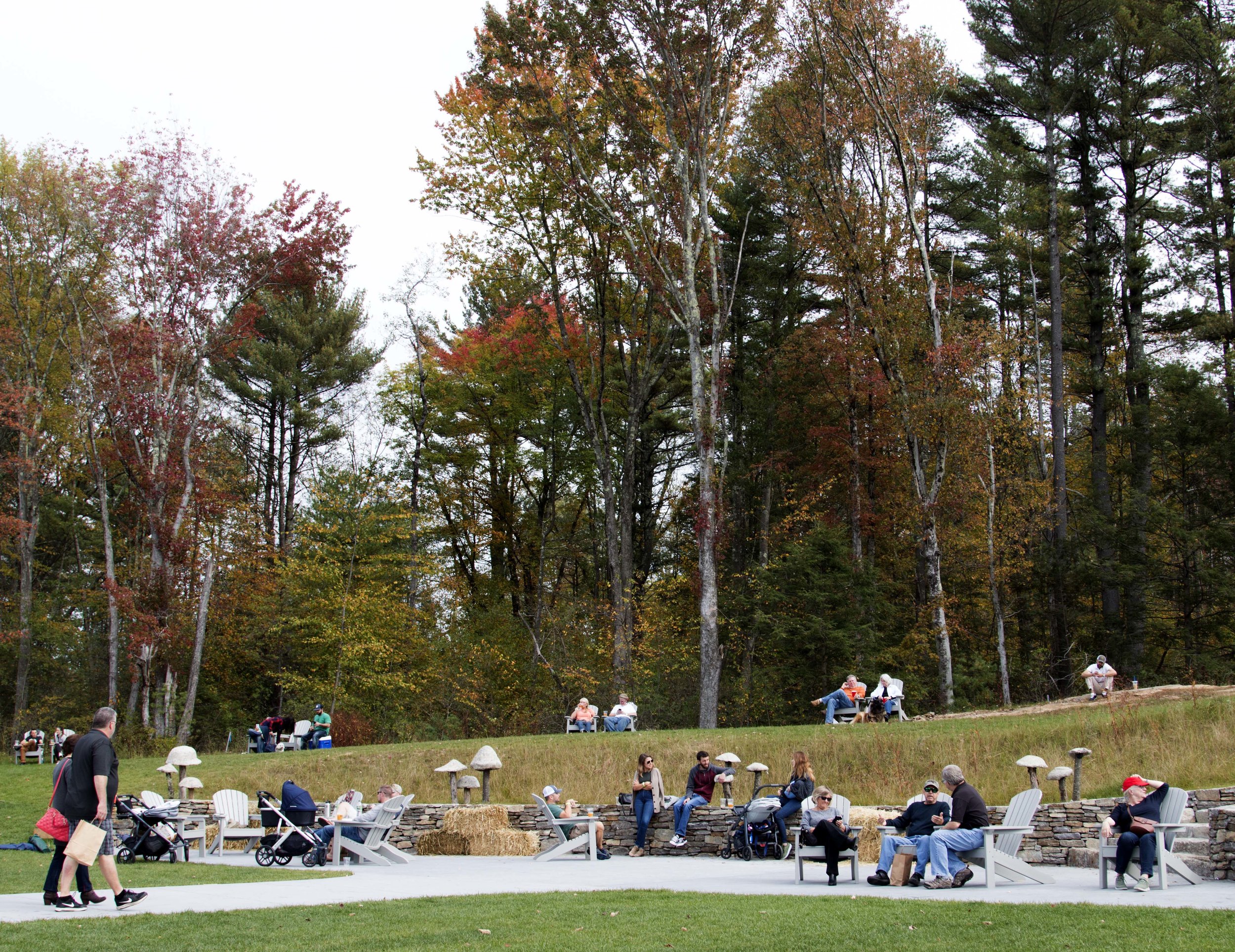 DETOUR Charlton, MA Tree House Brewing Co. • Hop Culture