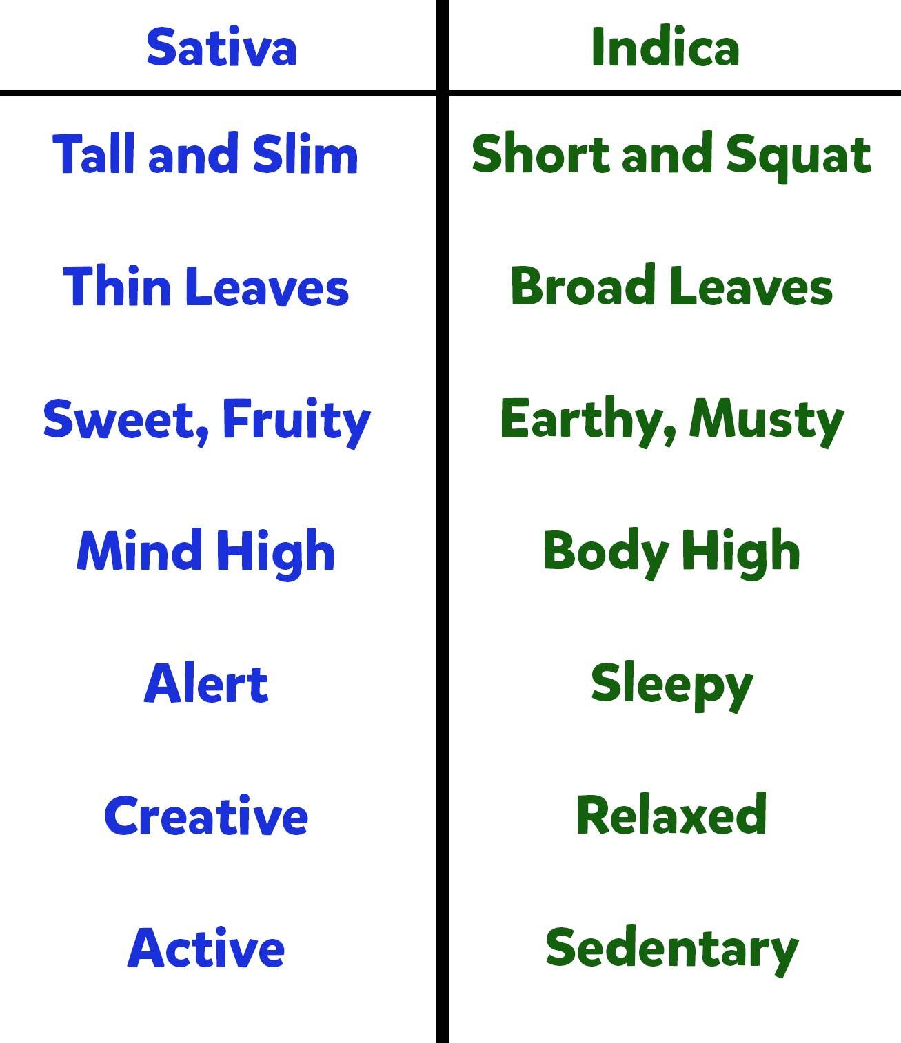 what is the difference between indica and sativa