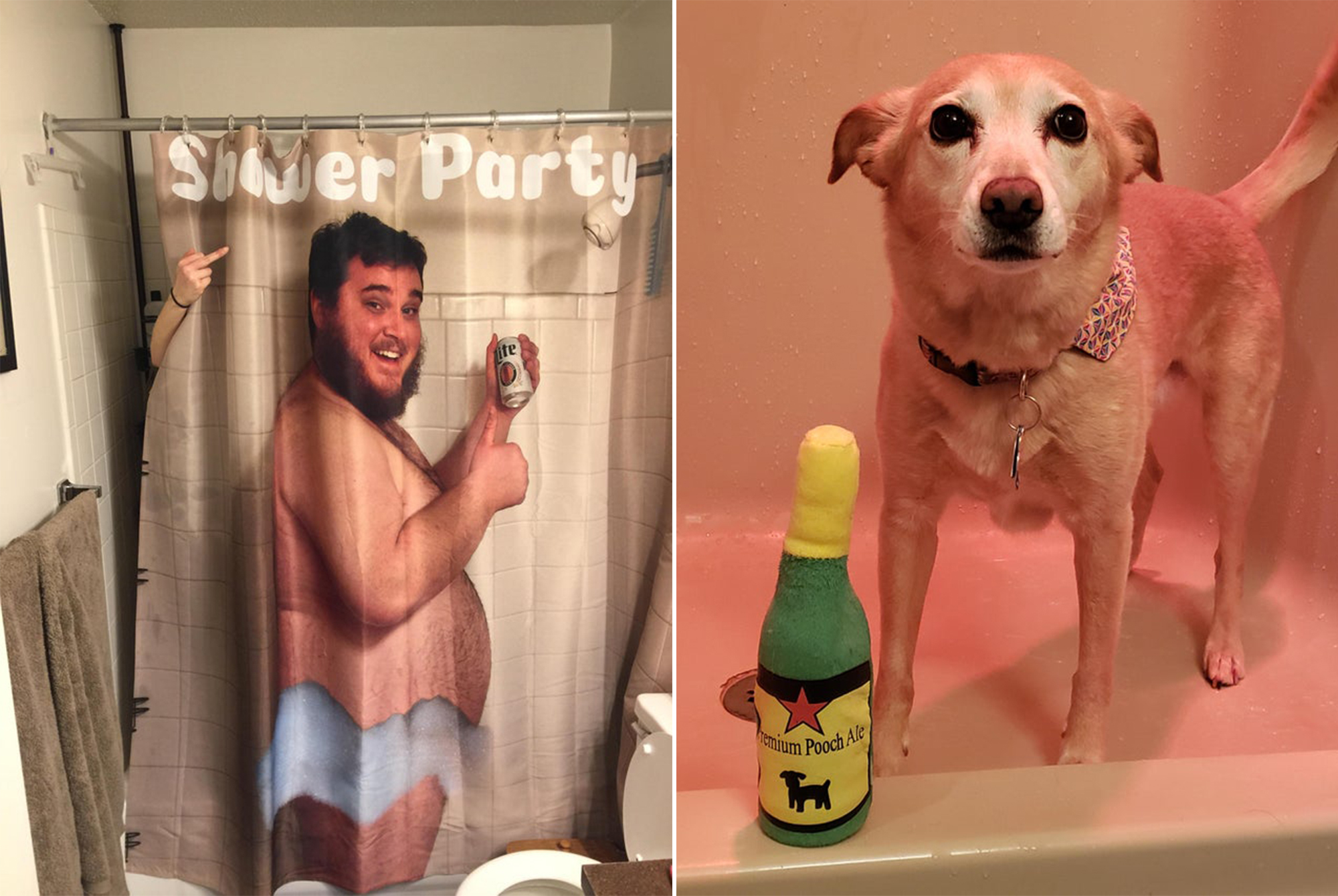 The Best Posts We Found In The Shower Beer Reddit