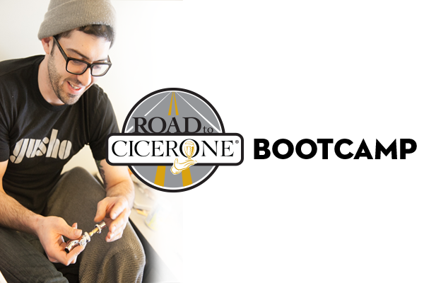 cicerone training bootcamp