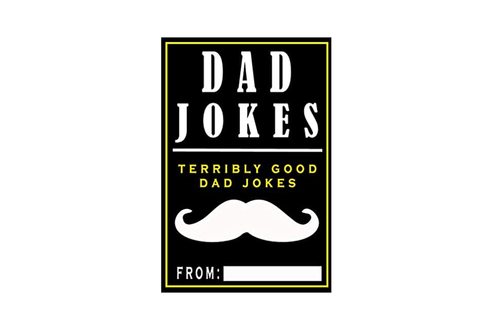 dad jokes book gift
