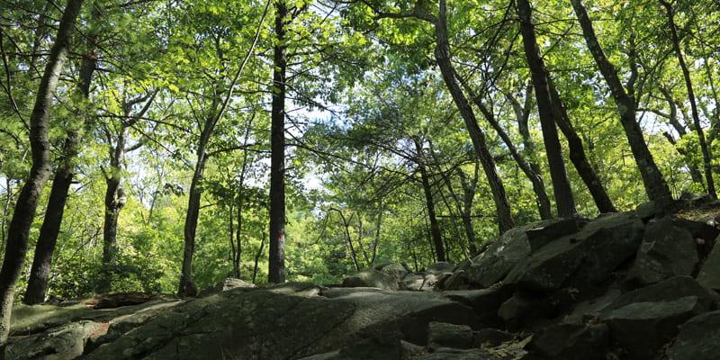 hiking at blue hills reservation