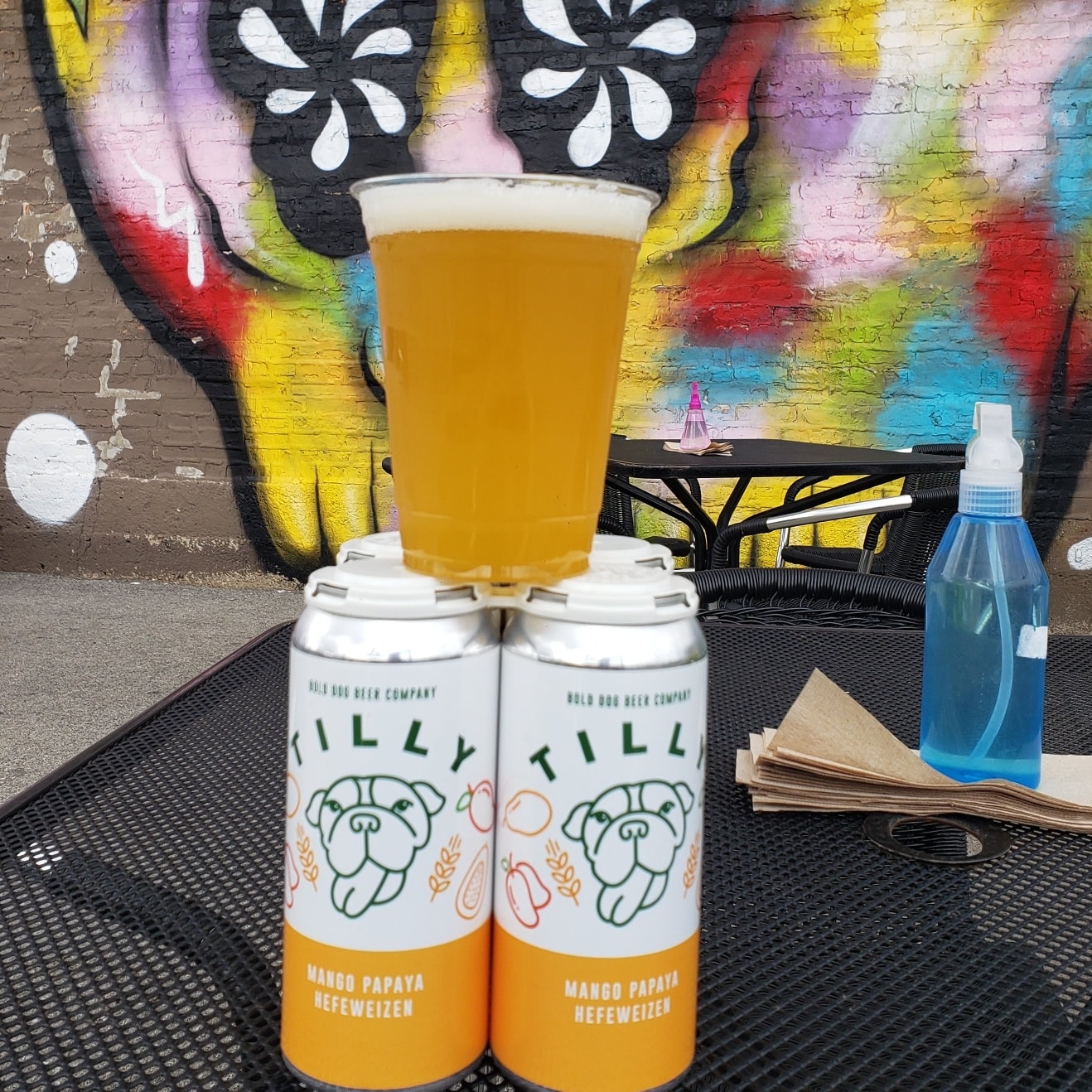 bold dog beer co tilly