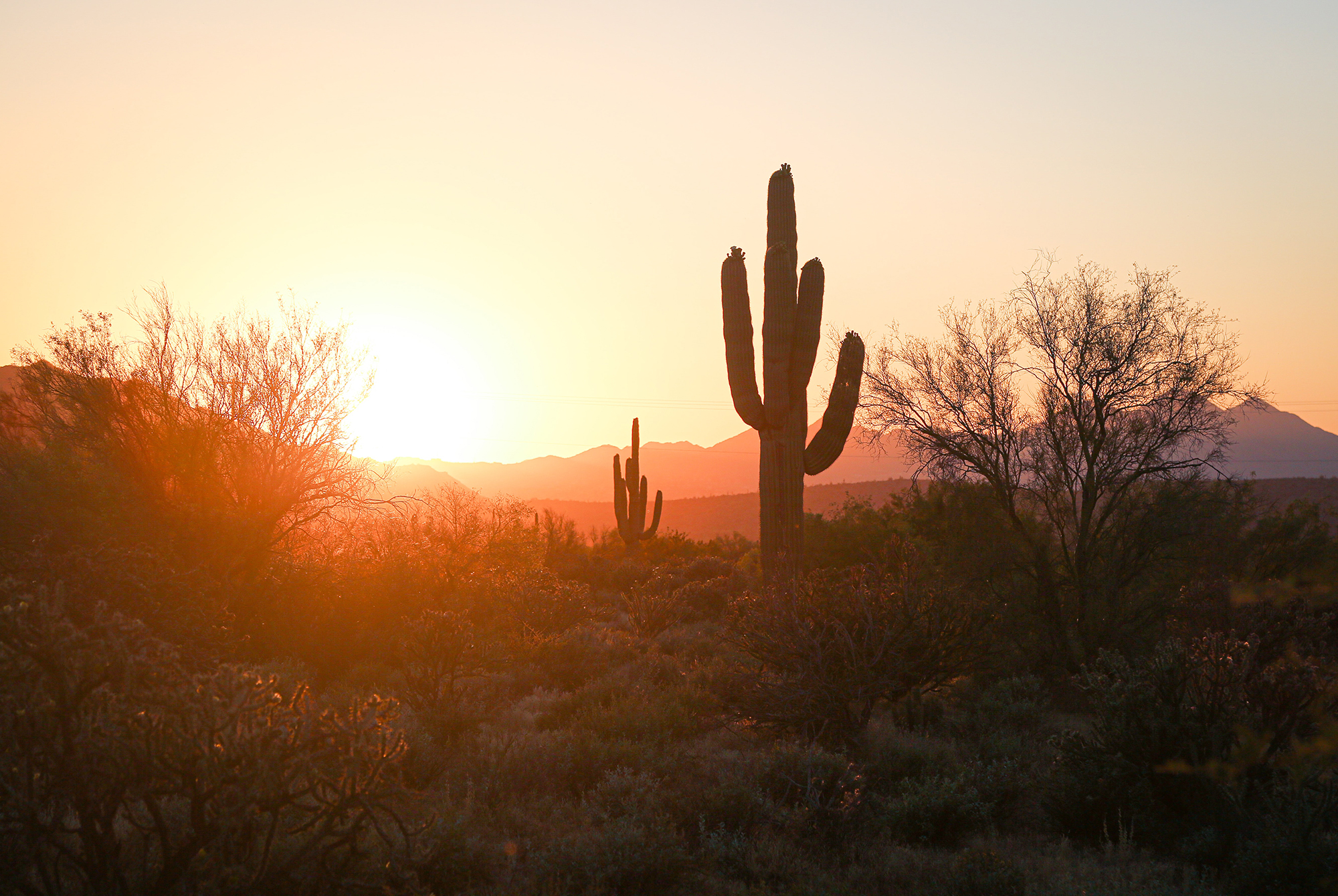 How to Spend a Beer-Fueled Day in Phoenix, Arizona