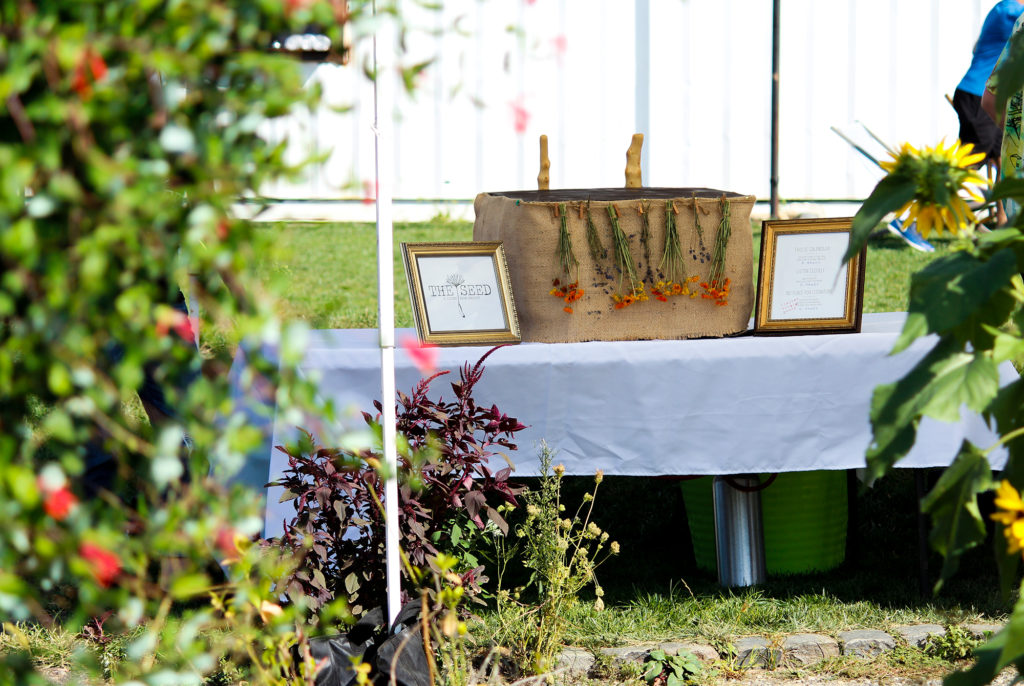 Meet New Jersey's Best New Brewery, The Seed A Living Beer Project