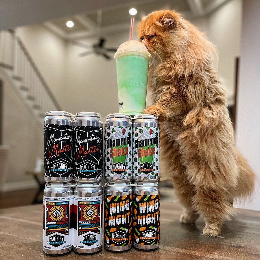 pet craft beer instagram lorenzo the beer cat