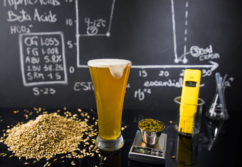 Malt and beer for the Untappd Brewing Scholarship