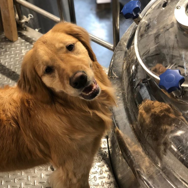 Upstate New York's Tin Barn Brewing Is The Day Trip You Need To Take