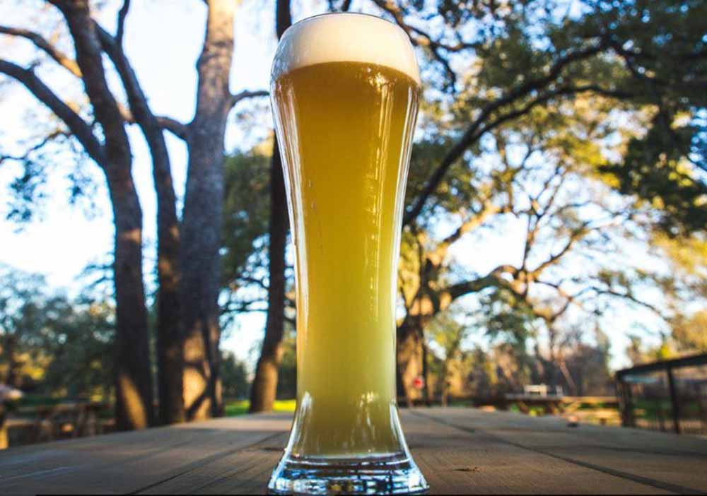 live oak brewing hefeweizen