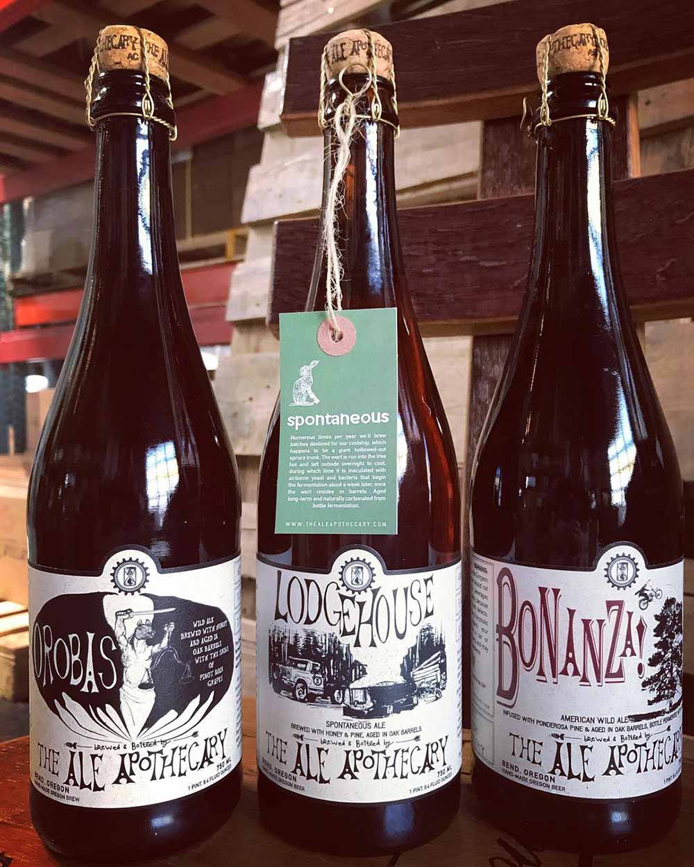 The 20 Best Beers to Drink in Fall 2021 • Hop Culture