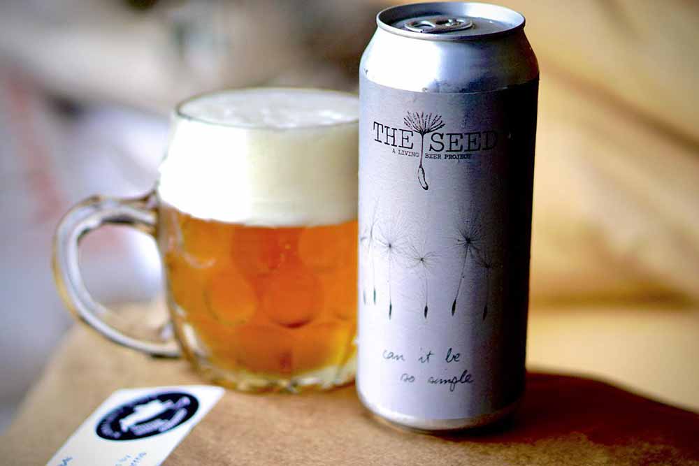 the seed a living beer project can it be so simple pale lager