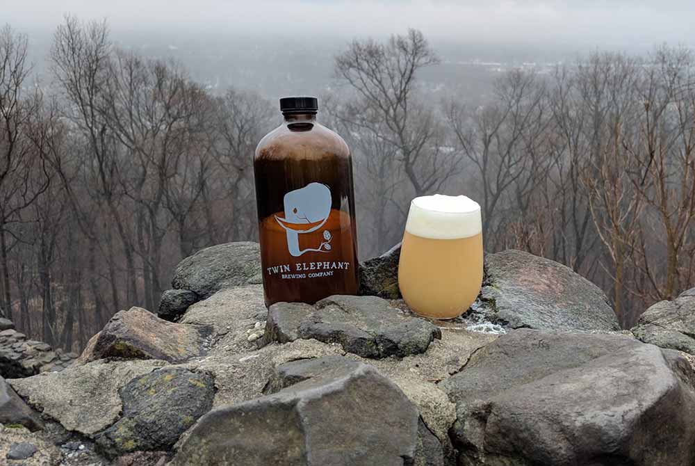 twin elephant brewing best breweries new jersey