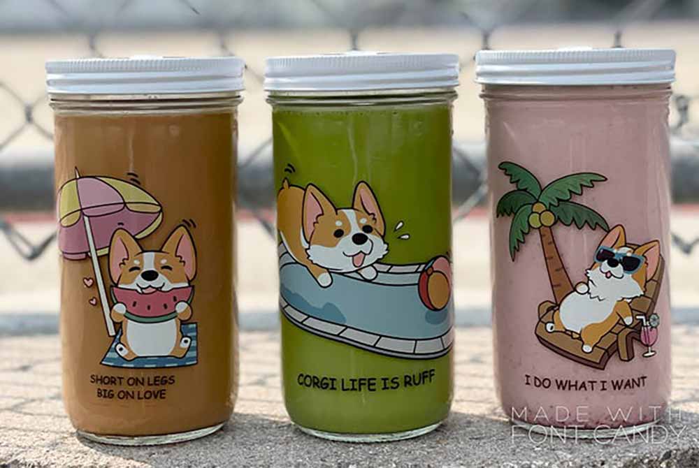 boba pup corgi butt glasses