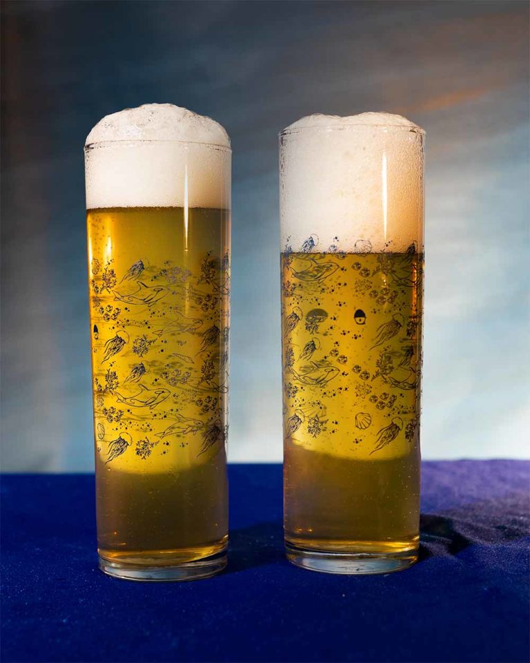 The 17 Best Beer Glasses to Buy Right Now • Hop Culture