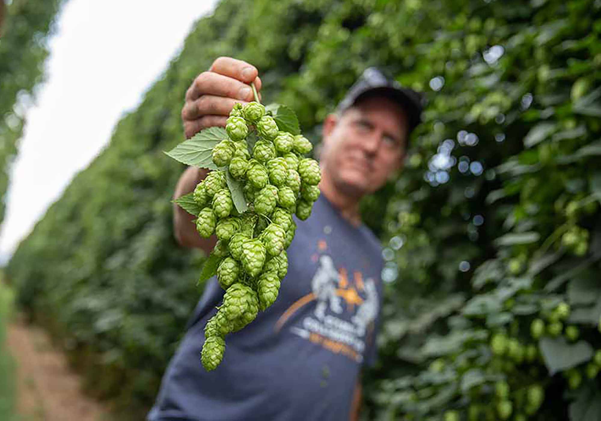 4 Exciting Hops to Watch in 2022