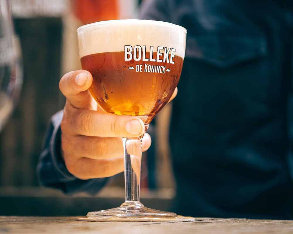 brouwerij de koninck bolleke de koninck apa belgian pale ale