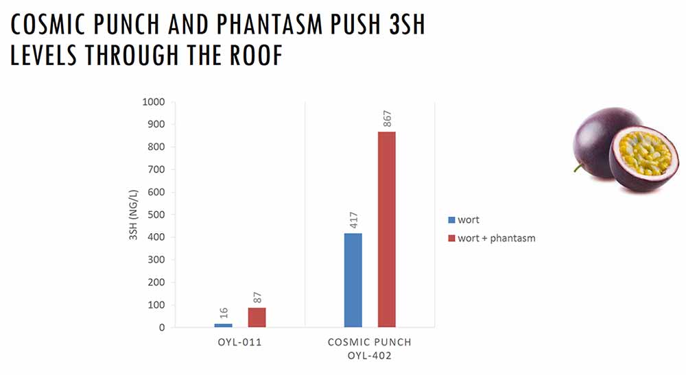 phantasm nz chart