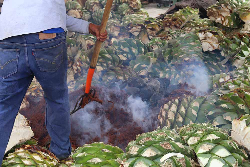 making mezcal barrels