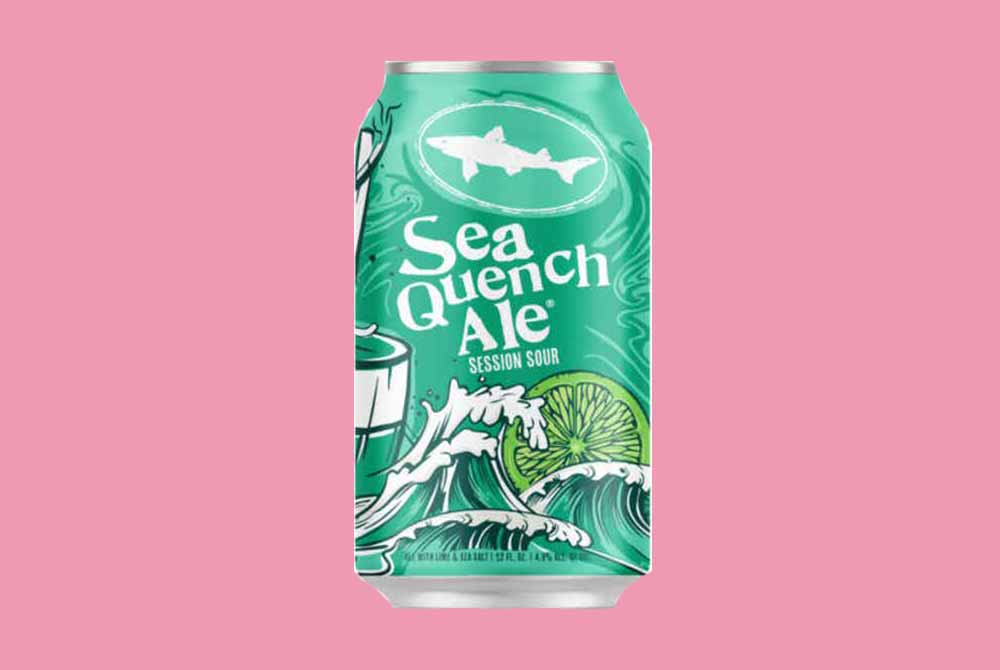 dogfish head seaquench ale sour