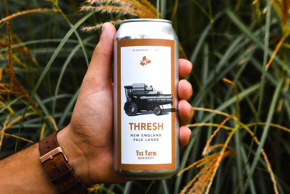 trillium brewing x fox farm brewery thresh best summer beers