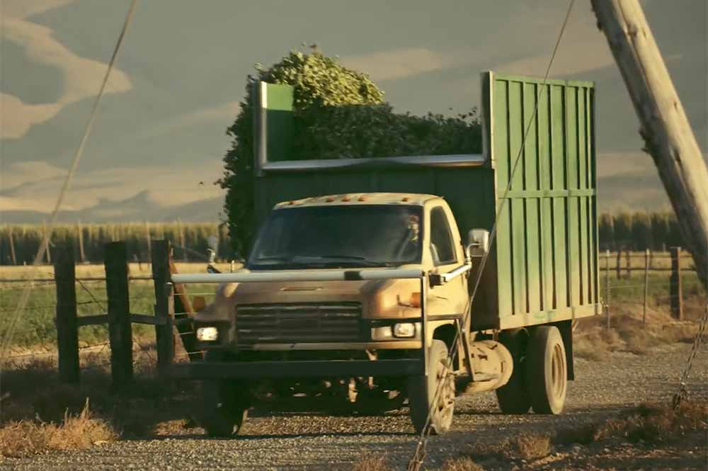 firestone walker brewing company hop harvest film